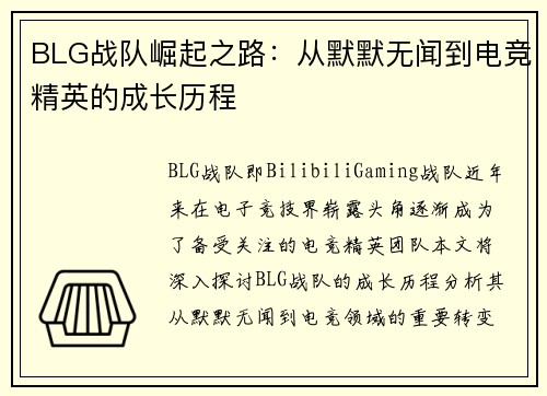 BLG战队崛起之路：从默默无闻到电竞精英的成长历程