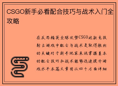CSGO新手必看配合技巧与战术入门全攻略