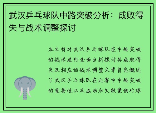 武汉乒乓球队中路突破分析：成败得失与战术调整探讨