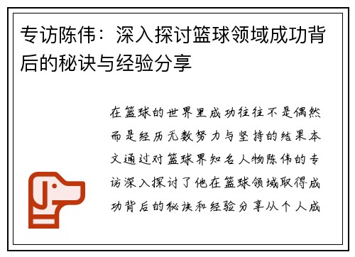 专访陈伟：深入探讨篮球领域成功背后的秘诀与经验分享